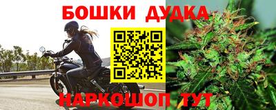 ALPHA PVP Камышлов