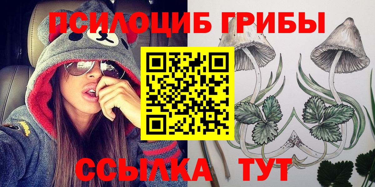 Псилоцибиновые грибы Psilocybine cubensis Чехов